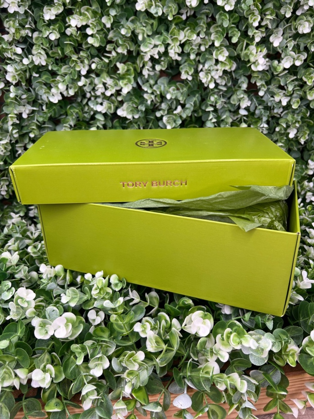 Tory Burch Green Shoe Box / Tissue Paper - Picture 2 of 12